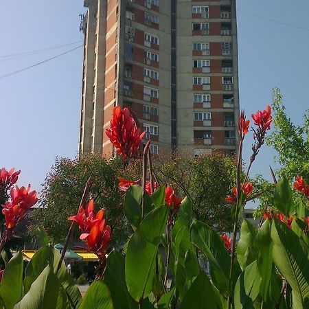 Hotel Konaciste Trstenik Экстерьер фото